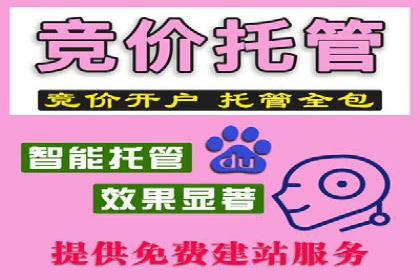 百度推广优化技巧：案例解读广告投放